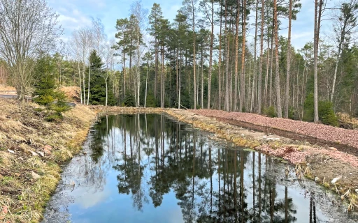 Sedimentationsbassänger